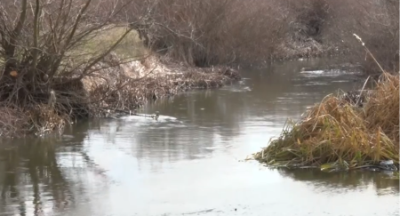 IZLILA SE SITNICA: Poplavljeno više sela na KiM 